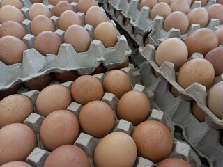 Fresh eggs sold in the market. Eggs contain many nutrients that are good for the body.