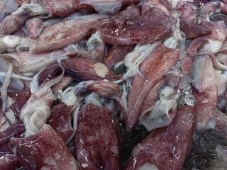 Fresh squid sold in the market. Squid has various nutrients that are good for the body.