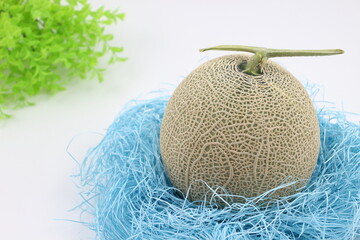 美しきメロン、網目模様が織りなす芸術