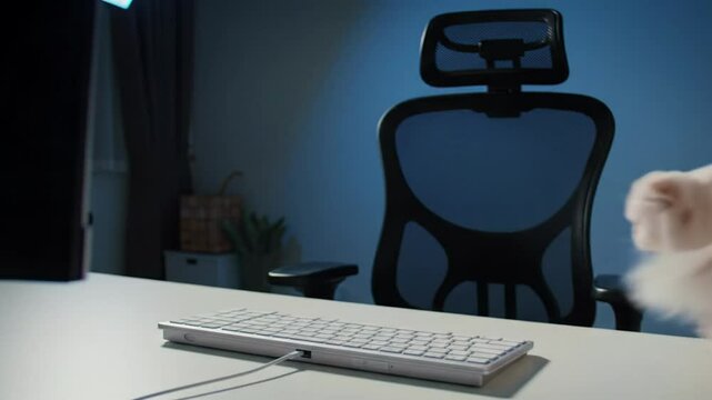 Cat Keyboard Takeover