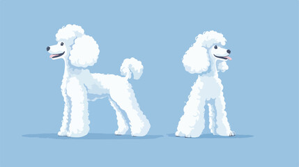 Modern Poodle Dog Design Flat Vector Illustration