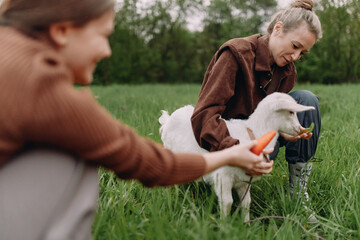 Middle age woman feeding a baby goat outdoors in green grass, showcasing active lifestyle,...