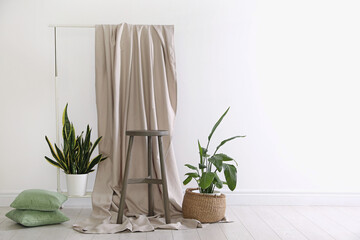 Photo zone with different potted plants in studio