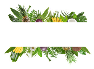 Fresh tropical fruits and green leaves on white background. Space for text