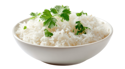 Bowl of fluffy white rice garnished with fresh cilantro, perfect for various culinary dishes.