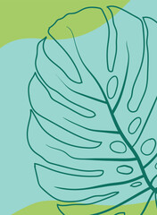 Monstera leaf, hand drawn illustration in doodle style