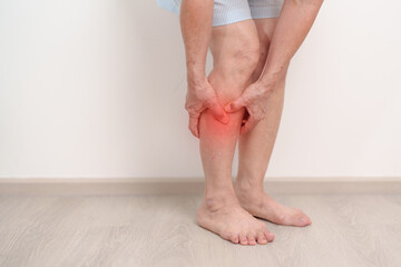 Elderly woman having Calf pain for concepts of Calf Muscle Strain, muscle pull, Leg Cramp, Sprain, aches, Varicose Veins, Deep Vein, world Thrombosis day, Senior Health care and medical treatment © Jo Panuwat D