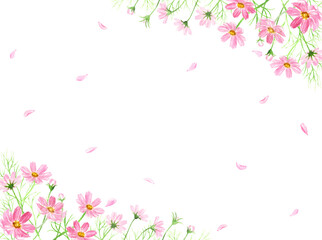 水彩で描いたコスモスのフレーム