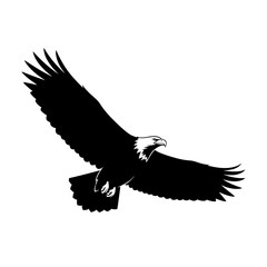 Obraz premium Illustration of an eagle soaring with its wings spread widely in a majestic flight across the sky