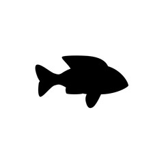 dolphin isolated on white background