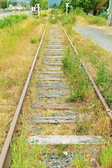 Abandoned railway tracks overgrown with grass and wildflowers on a sunny day.