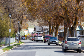 Cars line the street of small town