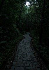 Stone path winds through dark green forest