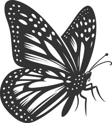 Vector cute insect silhouette of a monarch butterfly black drawing