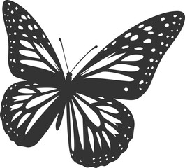 Vector cute insect silhouette of a monarch butterfly black drawing