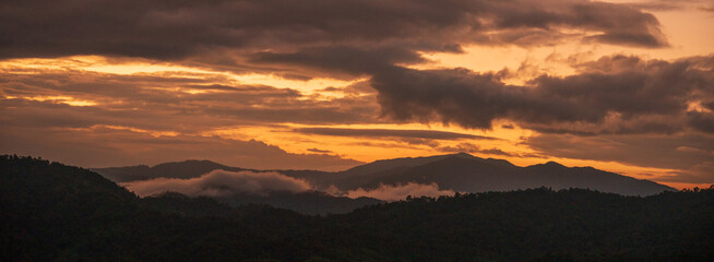 Banner Beautiful Mountain landscape foggy mountain green landscape morning sunrise. Amazing...
