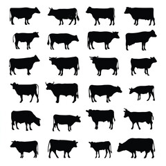 beef cattle silhouette set, Black & White silhouette set 