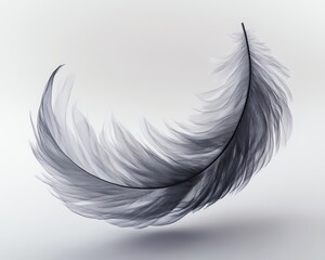 Obraz premium Abstract Grey Feather Shape Deconstructed into Curves