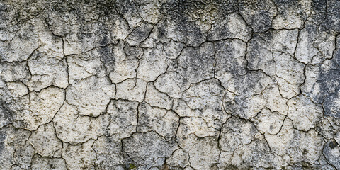 Fototapeta premium Cracked Earth: A detailed textural image of dried, cracked earth with an abstract pattern. Emphasizing the natural beauty and raw, organic textures, with the story of endurance and adaptation.