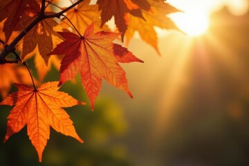 Golden and russet maple leaves, backlit by sunlight, showing intricate detail , light, fall colors