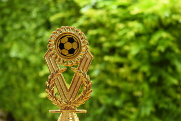 beautiful golden trophy of football contest on green tree background