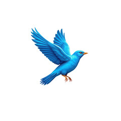 Obraz premium Vibrant Blue Bird in Flight with Detailed Feathers Against a Simple Background in a High-Quality Stock Image