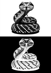Hissing snake design black white vector line art