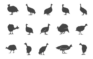 Guinea fowl silhouette, Guinea fowl svg, Helmeted guinea fowl svg, Guinea svg, Fowl svg, Helmeted guinea fowl silhouette. 
