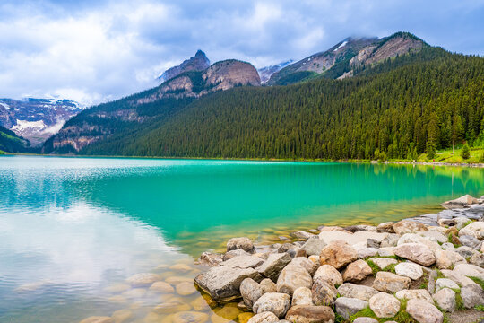 Scenic view of turquoise lake surrounded by mountains and pine trees. This is in Lake Louise in Banff National Park.