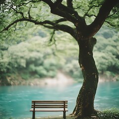 Serene waterside resting place beneath aged tree branches in tranquil landscape