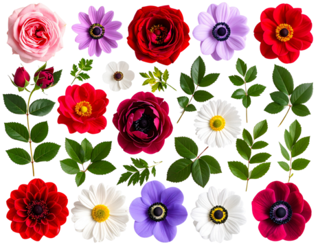 Floral Element Set with Colorful Blooms and Foliage in Top View, isolated on a transparent background - Powered by Adobe