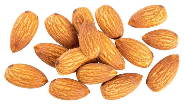 Roasted Marcona Almonds Spanish variet Isolated on transparent background