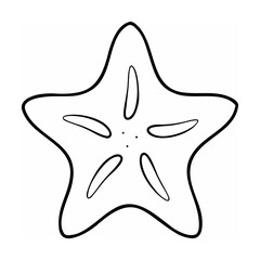 Black and White Starfruit Slice Outline on White Background
