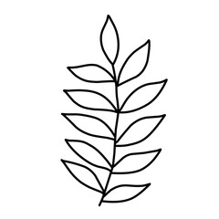 branch leaf line vector