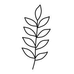 branch leaf line vector