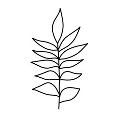 branch leaf line vector