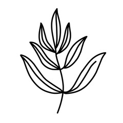 branch leaf line vector