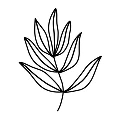 branch leaf line vector