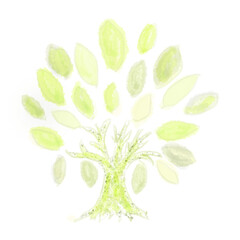 木の水彩イラスト