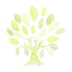 木の水彩イラスト