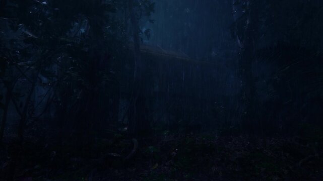 Rain Fell To Hut In The Tropical Forest At Night