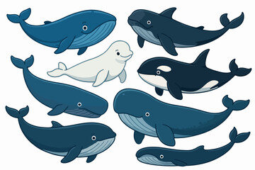 Vector Set Cartoon whales. Blue whale  humpback beluga killer bowhead orca cachalot underwater aquatic animal big fish sea ocean mammals marine under water giant swanky vector illustration © Pandaman1102