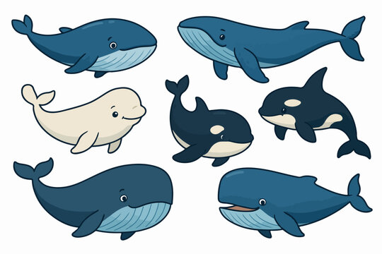 Vector Set Cartoon whales. Blue whale  humpback beluga killer bowhead orca cachalot underwater aquatic animal big fish sea ocean mammals marine under water giant swanky vector illustration
