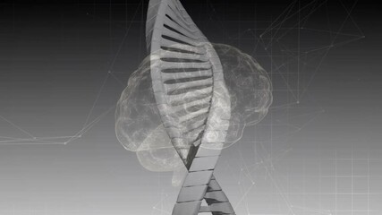 At start metallic DNA helix and 3D brain rotating visualizing structure over grid and nodes - Powered by Adobe