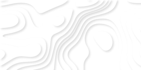 Abstract Luxury diamond creative topography map background vector natural shadow papercut web topography map spiral line. white light dynamic smooth cover origami papercut texture background.	
