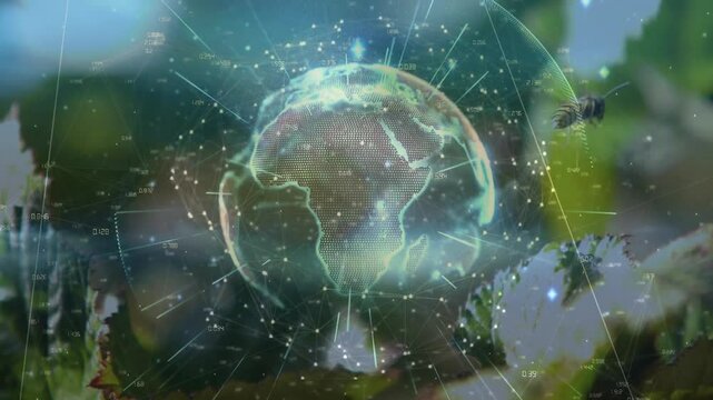 Opening on flowers 3D globe appearing with network nodes pulsing while bee collecting nectar