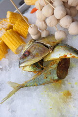 fresh sea food sarden fish on the ice