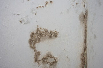 Severe water damage on a light-colored wall, featuring extensive brown stains and peeling paint....