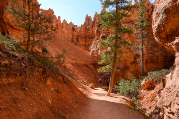 People hiking the Queens Garden Trail down in the orange rock hoodoo formations in Bryce Canyon...