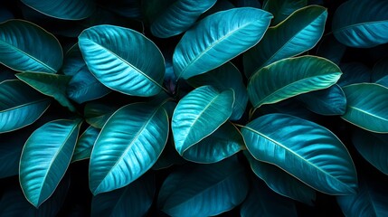 Vibrant Teal Tropical Leaves Background Lush Green Foliage Texture